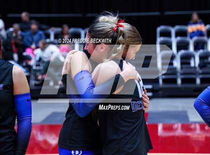 Thumbnail 3 in Bellville vs. Decatur (UIL 4A Volleyball Division I Final) photogallery.