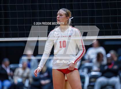 Thumbnail 1 in Bellville vs. Decatur (UIL 4A Volleyball Division I Final) photogallery.
