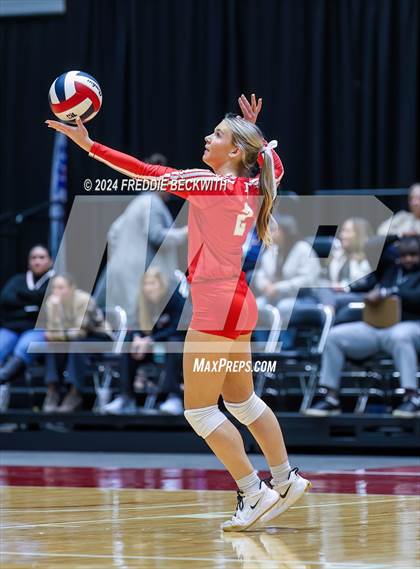 Thumbnail 1 in Bellville vs. Decatur (UIL 4A Volleyball Division I Final) photogallery.