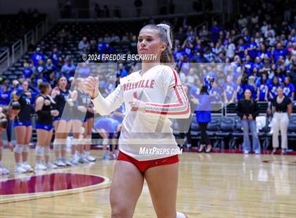 Thumbnail 3 in Bellville vs. Decatur (UIL 4A Volleyball Division I Final) photogallery.