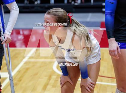 Thumbnail 1 in Bellville vs. Decatur (UIL 4A Volleyball Division I Final) photogallery.