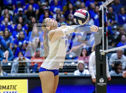 Thumbnail 2 in Bellville vs. Decatur (UIL 4A Volleyball Division I Final) photogallery.