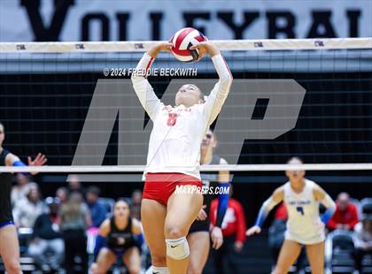Thumbnail 1 in Bellville vs. Decatur (UIL 4A Volleyball Division I Final) photogallery.