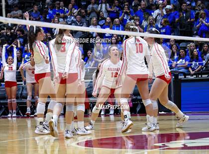 Thumbnail 2 in Bellville vs. Decatur (UIL 4A Volleyball Division I Final) photogallery.