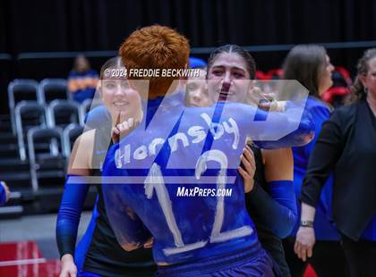 Thumbnail 3 in Bellville vs. Decatur (UIL 4A Volleyball Division I Final) photogallery.