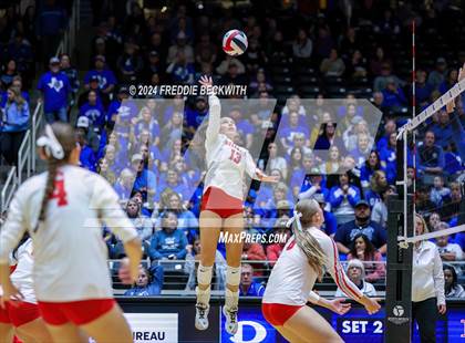 Thumbnail 2 in Bellville vs. Decatur (UIL 4A Volleyball Division I Final) photogallery.