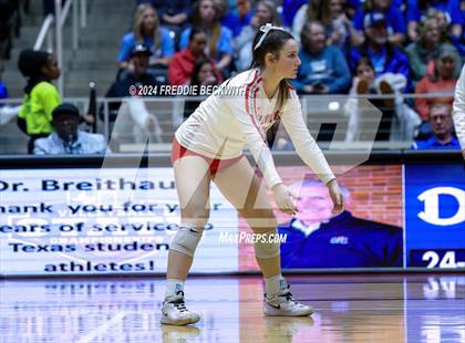 Thumbnail 1 in Bellville vs. Decatur (UIL 4A Volleyball Division I Final) photogallery.