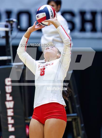Thumbnail 1 in Bellville vs. Decatur (UIL 4A Volleyball Division I Final) photogallery.
