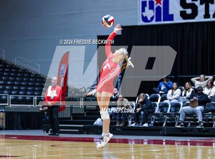 Thumbnail 2 in Bellville vs. Decatur (UIL 4A Volleyball Division I Final) photogallery.