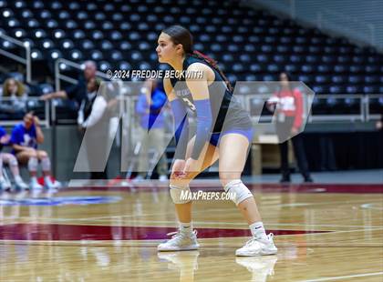 Thumbnail 2 in Bellville vs. Decatur (UIL 4A Volleyball Division I Final) photogallery.
