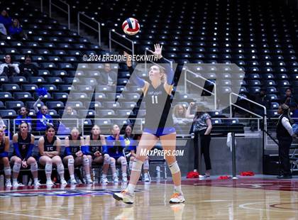 Thumbnail 1 in Bellville vs. Decatur (UIL 4A Volleyball Division I Final) photogallery.