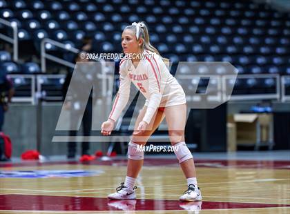 Thumbnail 1 in Bellville vs. Decatur (UIL 4A Volleyball Division I Final) photogallery.