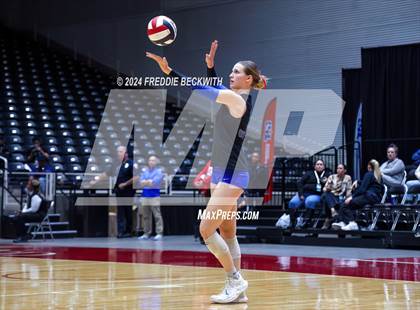 Thumbnail 2 in Bellville vs. Decatur (UIL 4A Volleyball Division I Final) photogallery.