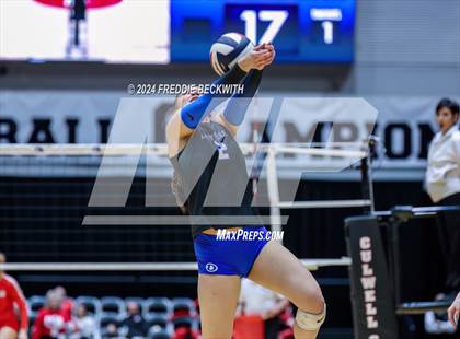 Thumbnail 2 in Bellville vs. Decatur (UIL 4A Volleyball Division I Final) photogallery.
