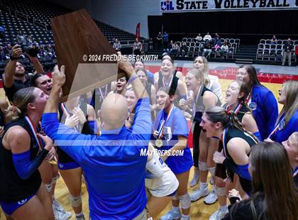 Thumbnail 1 in Bellville vs. Decatur (UIL 4A Volleyball Division I Final) photogallery.