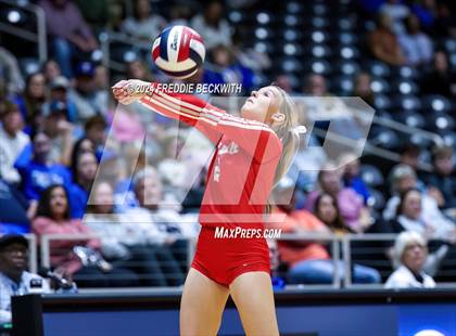 Thumbnail 1 in Bellville vs. Decatur (UIL 4A Volleyball Division I Final) photogallery.