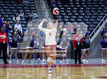 Thumbnail 3 in Bellville vs. Decatur (UIL 4A Volleyball Division I Final) photogallery.