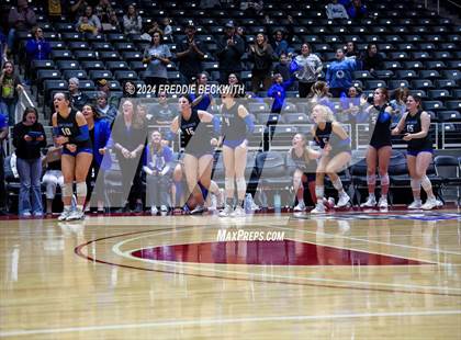 Thumbnail 1 in Bellville vs. Decatur (UIL 4A Volleyball Division I Final) photogallery.