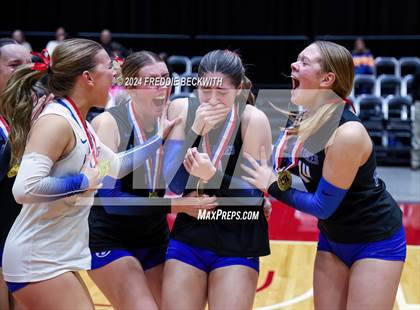 Thumbnail 3 in Bellville vs. Decatur (UIL 4A Volleyball Division I Final) photogallery.