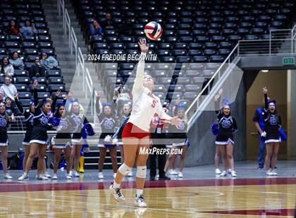 Thumbnail 1 in Bellville vs. Decatur (UIL 4A Volleyball Division I Final) photogallery.