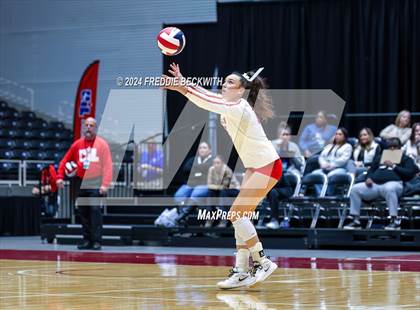 Thumbnail 1 in Bellville vs. Decatur (UIL 4A Volleyball Division I Final) photogallery.
