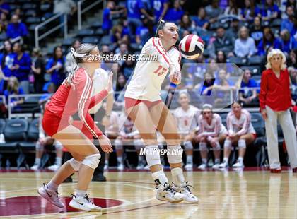 Thumbnail 2 in Bellville vs. Decatur (UIL 4A Volleyball Division I Final) photogallery.