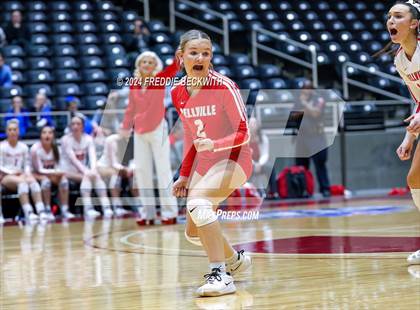 Thumbnail 3 in Bellville vs. Decatur (UIL 4A Volleyball Division I Final) photogallery.