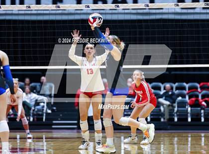 Thumbnail 1 in Bellville vs. Decatur (UIL 4A Volleyball Division I Final) photogallery.