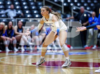 Thumbnail 3 in Bellville vs. Decatur (UIL 4A Volleyball Division I Final) photogallery.