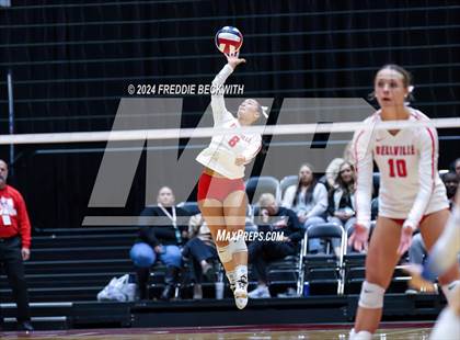 Thumbnail 1 in Bellville vs. Decatur (UIL 4A Volleyball Division I Final) photogallery.