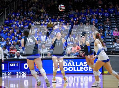 Thumbnail 2 in Bellville vs. Decatur (UIL 4A Volleyball Division I Final) photogallery.