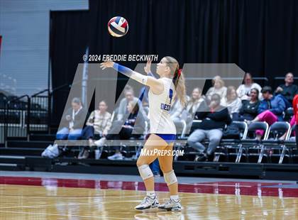 Thumbnail 3 in Bellville vs. Decatur (UIL 4A Volleyball Division I Final) photogallery.