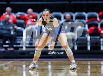 Thumbnail 1 in Bellville vs. Decatur (UIL 4A Volleyball Division I Final) photogallery.