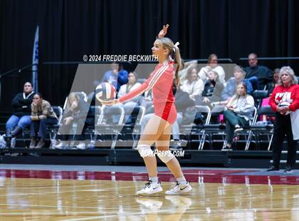 Thumbnail 3 in Bellville vs. Decatur (UIL 4A Volleyball Division I Final) photogallery.