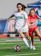 Photo from the gallery "Harrison @ Walton"