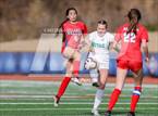 Photo from the gallery "Harrison @ Walton"