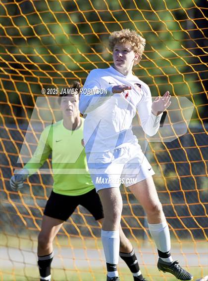 Thumbnail 2 in Leon @ Fleming Island photogallery.