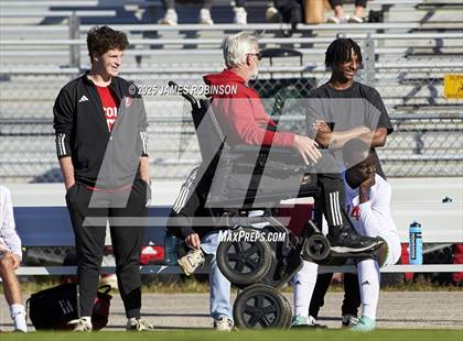 Thumbnail 2 in Leon @ Fleming Island photogallery.