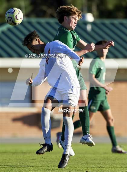 Thumbnail 2 in Leon @ Fleming Island photogallery.