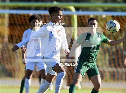 Thumbnail 3 in Leon @ Fleming Island photogallery.
