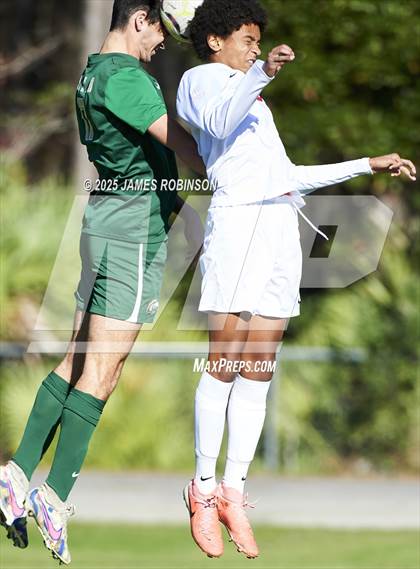 Thumbnail 2 in Leon @ Fleming Island photogallery.