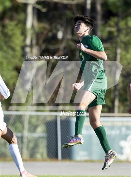 Thumbnail 2 in Leon @ Fleming Island photogallery.