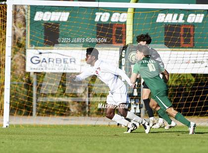 Thumbnail 3 in Leon @ Fleming Island photogallery.