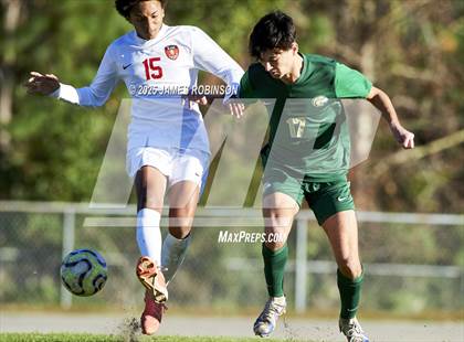 Thumbnail 3 in Leon @ Fleming Island photogallery.