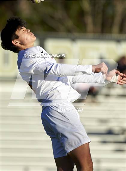 Thumbnail 1 in Leon @ Fleming Island photogallery.