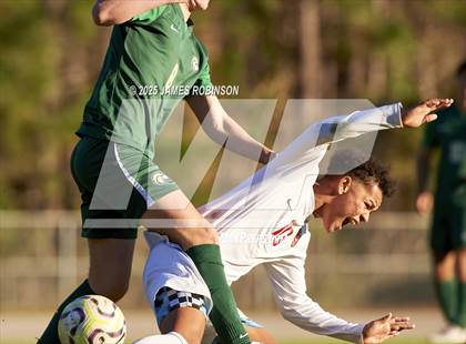 Thumbnail 1 in Leon @ Fleming Island photogallery.