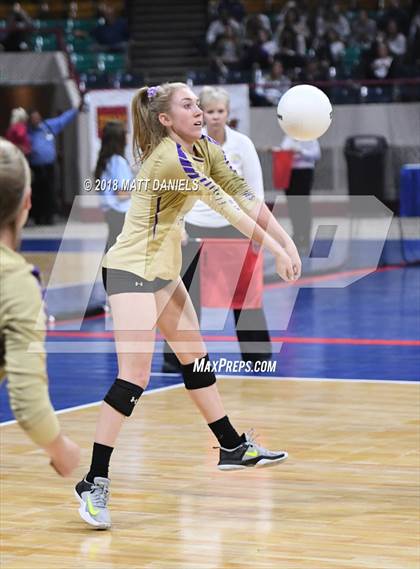 Thumbnail 1 in Silver Creek vs. Holy Family (CHSAA 4A Playoff) photogallery.