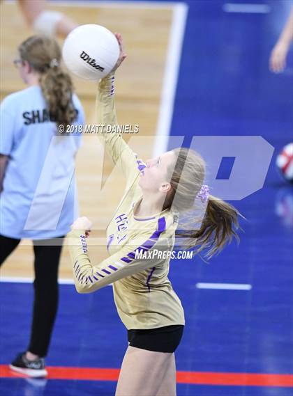 Thumbnail 1 in Silver Creek vs. Holy Family (CHSAA 4A Playoff) photogallery.