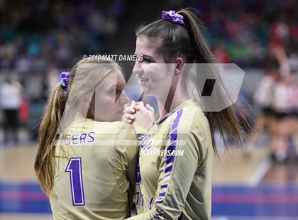 Thumbnail 3 in Silver Creek vs. Holy Family (CHSAA 4A Playoff) photogallery.