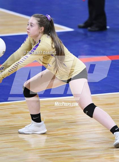 Thumbnail 1 in Silver Creek vs. Holy Family (CHSAA 4A Playoff) photogallery.